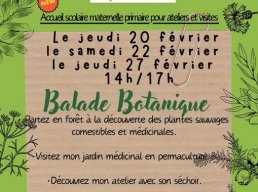 Balade botanique