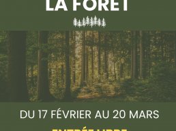 Exposition sur la forêt