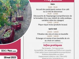 Journée immersive - Vigneron.ne