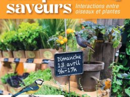 Marché aux plantes et saveurs